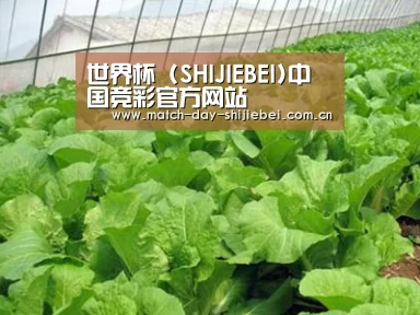 种植基地一