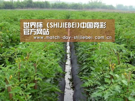 种植基地三
