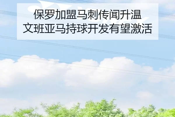 保罗加盟马刺传闻升温 文班亚马持球开发有望激活