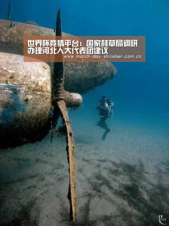 世界杯竞猜平台:国家林草局调研办理河北人大代表团建议(图4) 世界杯竞猜平台