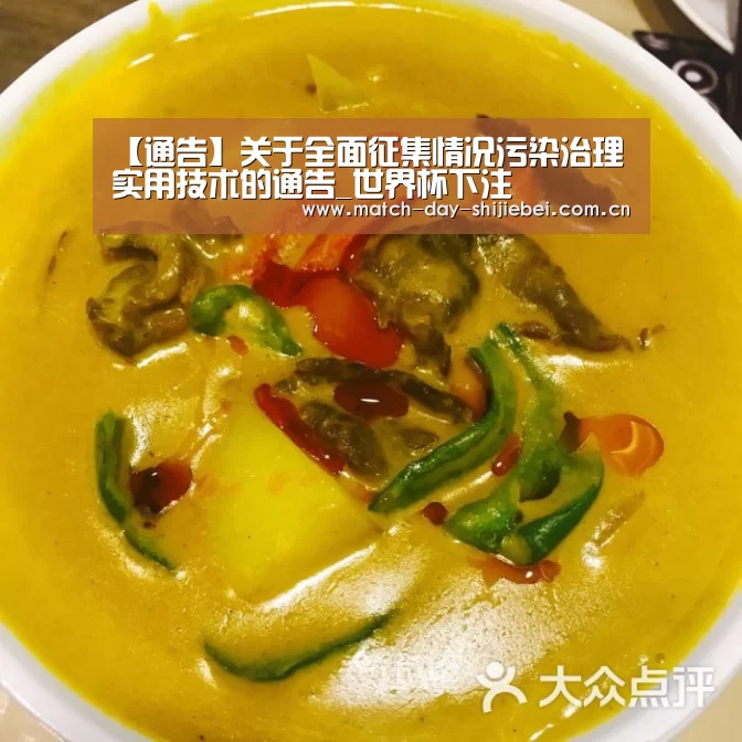 【通告】关于全面征集情况污染治理实用技术的通告_世界杯下注(图1) 世界杯买球